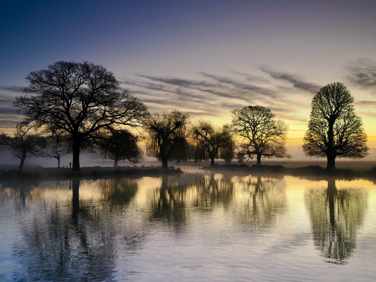 A tranquil scene of trees reflecting in a UK lake at sunrise, enveloped in mist.